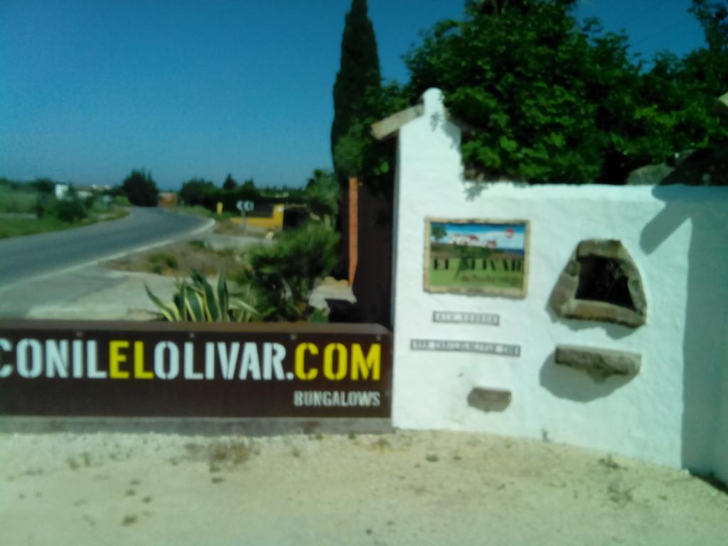 El Olivar De Roche Viejo 科尼尔-德拉弗龙特拉 外观 照片